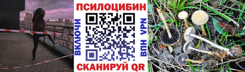 цены   Кукмор  Псилоцибиновые грибы ЛСД 
